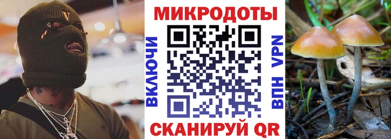 Галлюциногенные грибы Magic Shrooms  наркота  Белая Холуница 